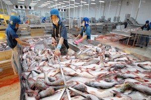 Nỗi đau của thủy sản Việt Nam khi bị truyền thông phương Tây “tố”