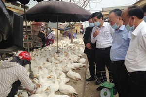 Hà Nội kiểm tra công tác phòng chống dịch tại chợ gia cầm Hà Vĩ. Ảnh: Kinhtedothi.