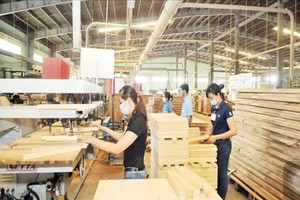 Tân Liên Phát đã bán hơn 36 triệu cổ phiếu Gỗ Trường Thành (TTF)