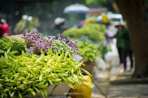 Gánh loa kèn và nỗi nhớ tháng 4