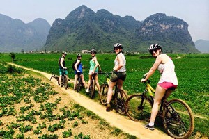 Báo Anh gợi ý 7 trải nghiệm độc đáo ở Việt Nam