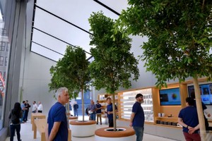 Cửa hàng mới sẽ có cây xanh, màn hình lớn và phòng họp. Ảnh: The Verge