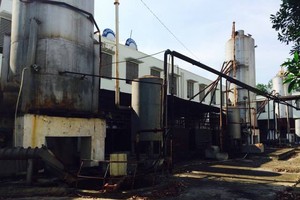 Nhà máy sản xuất bột giấy Tân Hồng với vốn đầu tư cả nghìn tỷ đồng song đã "đắp chiếu" tới 7 năm (Ảnh: Báo Nghệ An)