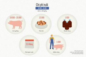 Nuôi heo 4 triệu bán 2 triệu đồng