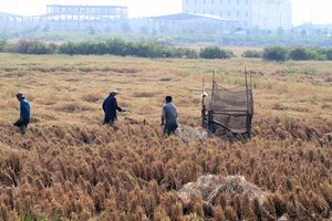 60 dự án tại 10 tỉnh thành sẽ bị Thanh tra Chính phủ thanh tra trong năm 2017. (ảnh Gia Huy)