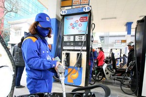 Để bù đắp thuế nhập khẩu về 0% trong thời gian tới, các chuyên gia cho rằng trước mắt có thể tính toán tăng thuế nội địa, trong đó có thuế bảo vệ môi trường với xăng dầu.