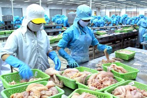 Nguyên chủ tịch Thuỷ sản Việt Nhật (VNH) bị tố chiếm đoạt 155 tỷ đồng