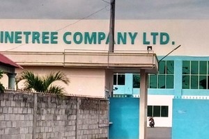 Hàng trăm công nhân may bỏ việc vì cơm có dòi