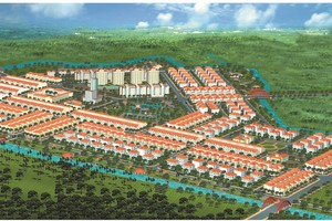 PPI: Giá tăng hơn 50% sau khi bị cảnh báo, Chủ tịch HĐQT đăng ký bán gần 3 triệu cổ phiếu