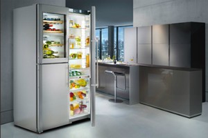 Bạn hiểu gì về tủ lạnh Side by Side