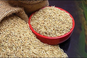 Quý II/2017, HKB lỗ hơn 12 tỷ đồng