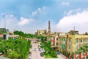 LAS: 6 tháng đầu năm lãi ròng gần 89 tỷ đồng