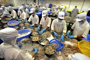 Hơn 1.000 công ty Việt Nam không thể xuất hàng vào Mỹ