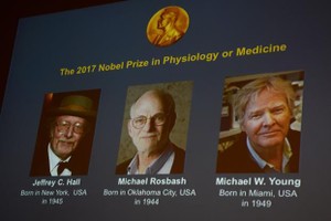 Ba nhà khoa học Mỹ giành Nobel Y học 2017 - Ảnh: AFP