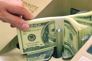 Việt Kiều đang đóng góp 7% GDP mỗi năm