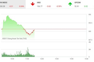 Phiên sáng 26/10: Sắc đỏ tràn ngập, VN-Index không thể đứng vững