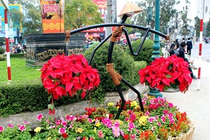 Đà Lạt chi 40 tỷ đồng để tổ chức Festival hoa lần thứ 6. Ảnh: Quốc Dũng.