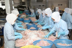 Thủy sản Bến Tre (ABT) muốn thế chân Hùng Vương tại Thực phẩm Sao Ta (FMC)