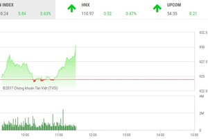 Phiên sáng 14/12: Cổ phiếu nhỏ hút tiền, VN-Index đảo chiều tăng mạnh