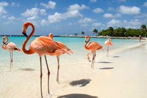 10 điểm đến dân không đông bằng khách