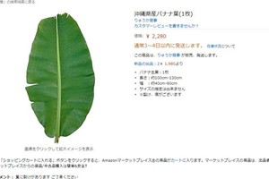 Trên Amazon Nhật một tàu lá chuối có giá 470.000 đồng.