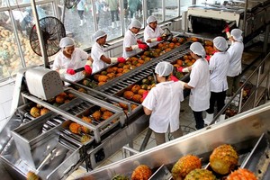 Năm 2017, Chiếu xạ An Phú (APC) lãi ròng gấp đôi kế hoạch