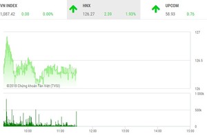 Phiên sáng 23/1: HOSE sập sàn, tiền chảy mạnh sang HNX