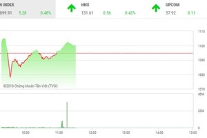Phiên sáng 20/4: Lực cầu bắt đáy chảy mạnh, VN-Index hồi phục