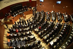 Toàn cảnh một phiên họp Thượng viện Mexico tại Mexico City. (Nguồn: AFP/TTXVN).