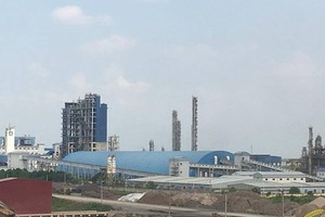 Không chỉ kết quả làm ăn bết bát, Đạm Ninh Bình còn vướng phải hàng loạt những sai phạm trong quá trình đầu tư dự án.