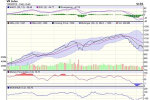 Biểu đồ kỹ thuật HNX-Index. Nguồn: VCBS. 