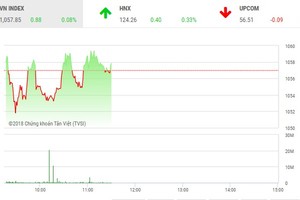 Phiên sáng 10/5: Nhà đầu tư thận trọng, VN-Index loay hoay tìm hướng đi