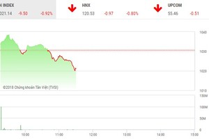 Phiên sáng 18/5: Nhà đầu tư đứng nhìn, VN-Index tiếp tục lùi sâu