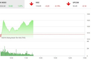 Phiên sáng 5/6: Dòng tiền tự tin nhập cuộc, VN-Index tiếp tục bứt phá