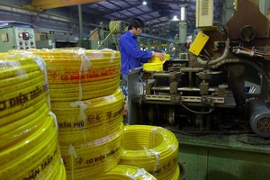 Không chịu đăng ký giao dịch, Cơ điện Trần Phú bị phạt 350 triệu đồng