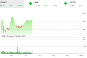 Phiên sáng 20/6: Tiết cung giá thấp