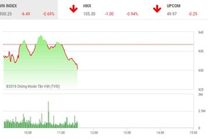 Phiên sáng 24/7: Dòng tiền vẫn tìm đến các mã nhỏ, VN-Index đảo chiều giảm