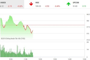 Phiên sáng 15/8: Thiếu sự đồng thuận, VN-Index loay hoay tìm hướng đi