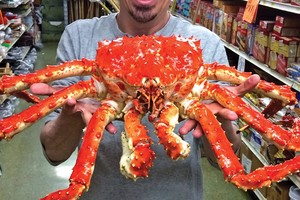 Chân cua hoàng đế dài hơn nửa mét giá vài triệu đồng một bộ