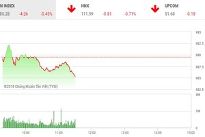 Phiên sáng 4/9: Dòng tiền thận trọng, VN-Index chìm trong sắc đỏ