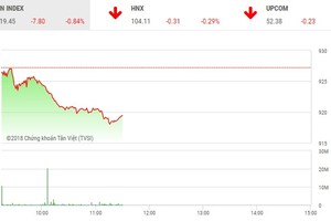 Phiên sáng 19/12: Cổ phiếu ngân hàng, dầu khí đẩy VN-Index tiếp tục giảm sâu