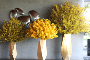 Bình lớn nhất cao 2m. Ảnh: Flower box