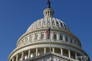 Các thượng nghị sĩ Mỹ đang quan tâm đặc biệt tới hoạt động của Facebook, Goole và Apple. Ảnh Verge.