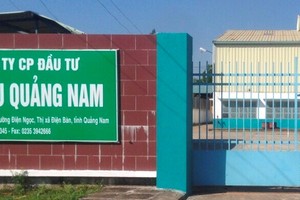 Nhà đầu tư còn 1 tháng để giao dịch cổ phiếu VHG trên HOSE