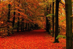 Thị trường tài chính 24h: Phá vỡ lời nguyền?