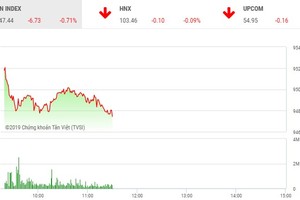 Phiên sáng 13/6: Nhóm cổ phiếu nhỏ nổi sóng