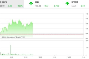 Phiên sáng 14/1: Ồ ạt bắt đáy ROS