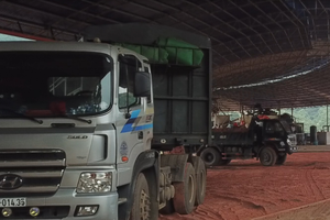 Create Capital Việt Nam (CRC): Năm 2019, doanh thu tăng mạnh nhưng lợi nhuận giảm gần 40%