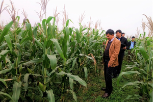 Hồng Hà Sơn La (HSL) góp thêm vốn 15 tỷ đồng vào Cường Sinh Yên Châu