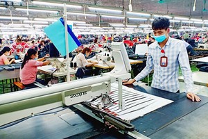 Đầu tư và Phát triển (TDT) đặt mục tiêu tăng trưởng lợi nhuận 85%